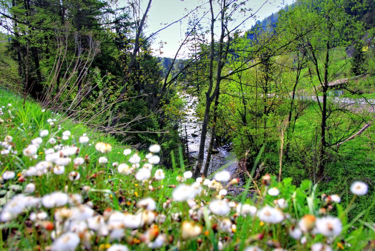 DOLINA LEŚNICY SKI & SPA RESORT | Brenna | 1